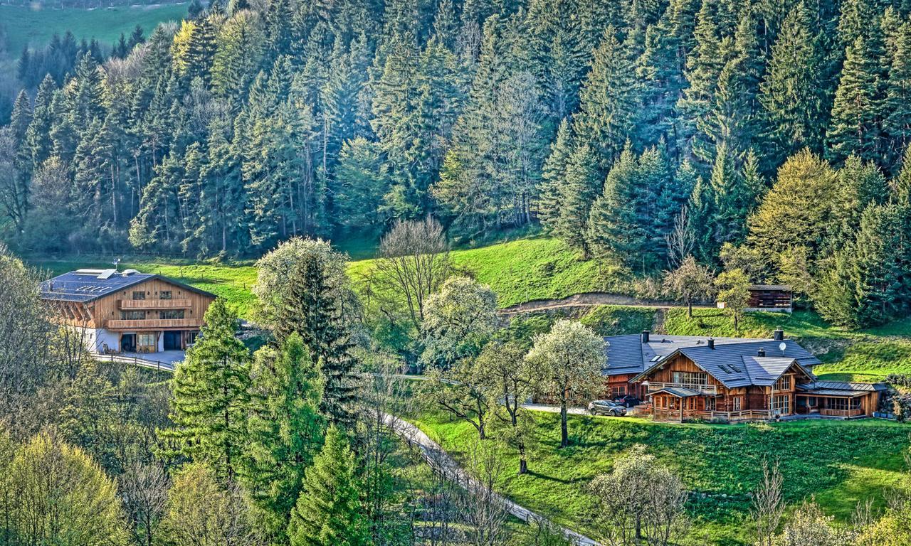 Вилла Zeidelhof Lilienfeld Экстерьер фото